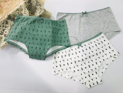 2N2 High Waist Underwear